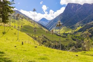 Medical Repatriation Colombia